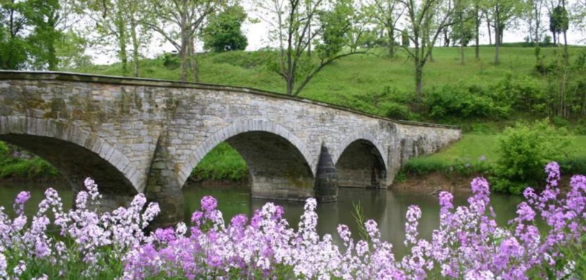 A Spring Morning: Short story by Ida Fink