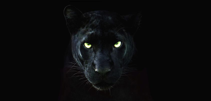 Spunk: Short story by Zora Neale Hurston