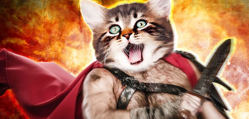 The Garden of Stubborn Cats: Short story by Italo Calvino