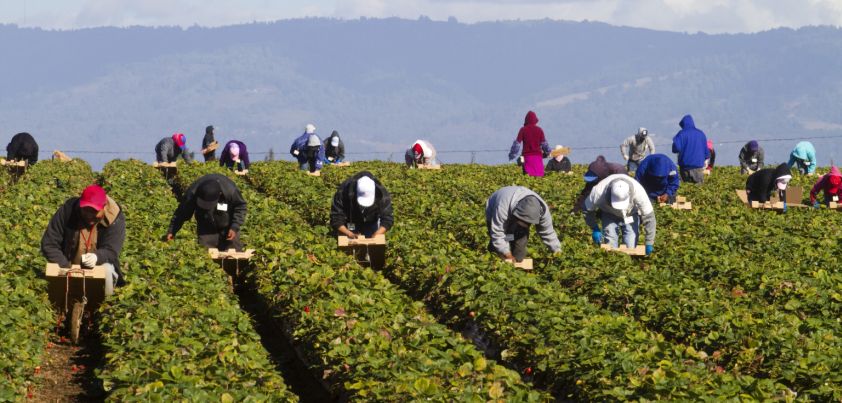 The Circuit: Short story by Francisco Jiménez