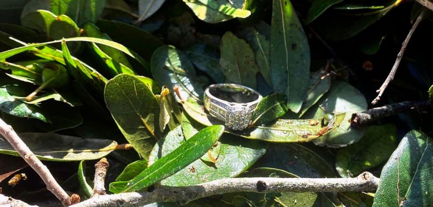 The Ring: Short story by Isak Dinesen (aka Karen Blixen)