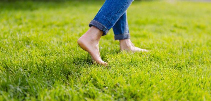 The Soft Touch of Grass: Short story by Luigi Pirandello