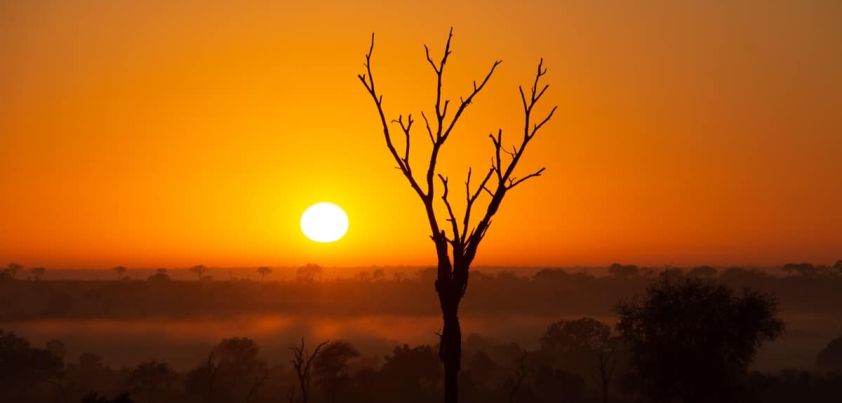 A Sunrise on the Veld: Short story by Doris Lessing
