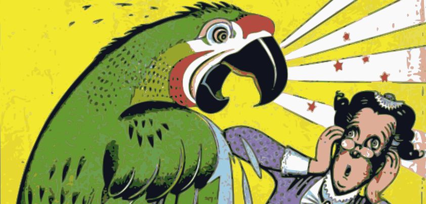The Widow and the Parrot, A True Story: Short story by Virginia Woolf