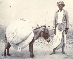 washerman and donkey